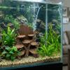 Irregular Fish Shrimp Shelter 3D Printed Shrimp Breeding Cave  Aquarium Landscape Decoration