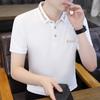 Summer Lapel Collar Casual Polo Men's Fashion Short Sleeve T-Shirt Short Sleeve Men's T-Shirt
