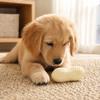 Easy to Clean Odor-free Pet Accessory Made From Flexible 1 Pc