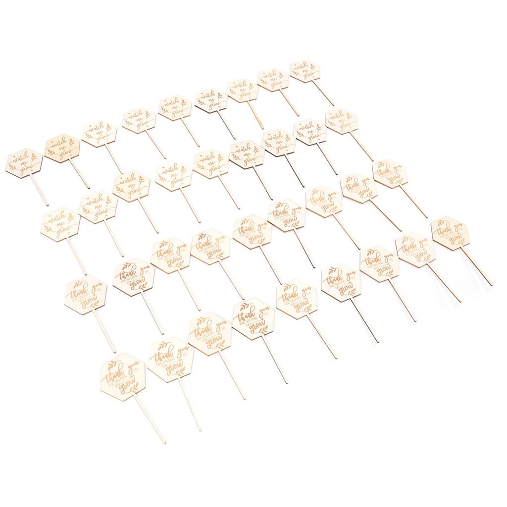 36 st Se mig växa Suckulentetiketter Säkra Miljövänliga Trä Sexkantiga Suckulentetiketter för Blomkruka