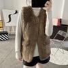 Lamb Wool Vest Women's Autumn and Winter Korean Version of The Loose Outer Wear Waistcoat Fur One-piece Plush Vest Jacket
