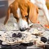Yousheng Pet Slow Food Mat Bone Shaped Scent Training Pad Flannel Snuffle Mat with Squeakers Non-Slip Base Stress Relief Dog Toy