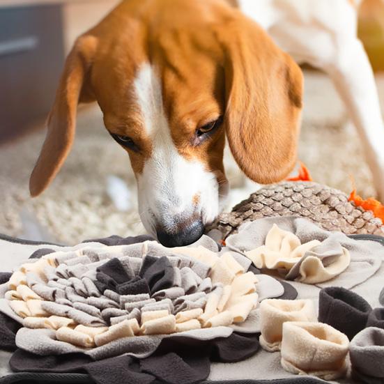 Yousheng Pet Slow Food Mat Bone Shaped Scent Training Pad Flannel Snuffle Mat with Squeakers Non-Slip Base Stress Relief Dog Toy