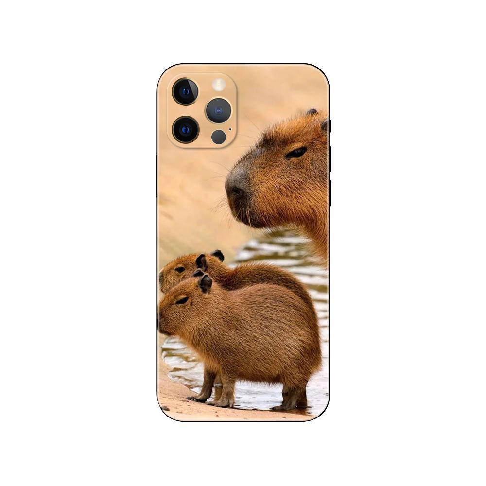Capybara pouzdro na telefon pro iPhone 5 5s 2020se 6 6s 7 8 plus x 10 XR XS 11 12 13 mini pro MAX černý zadní kryt TPU