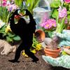 Bigfoot Sasquatch Garden Statue Outdoor Yard Lawn Art, Yeti Ornament Patio Decor Novelty Gift