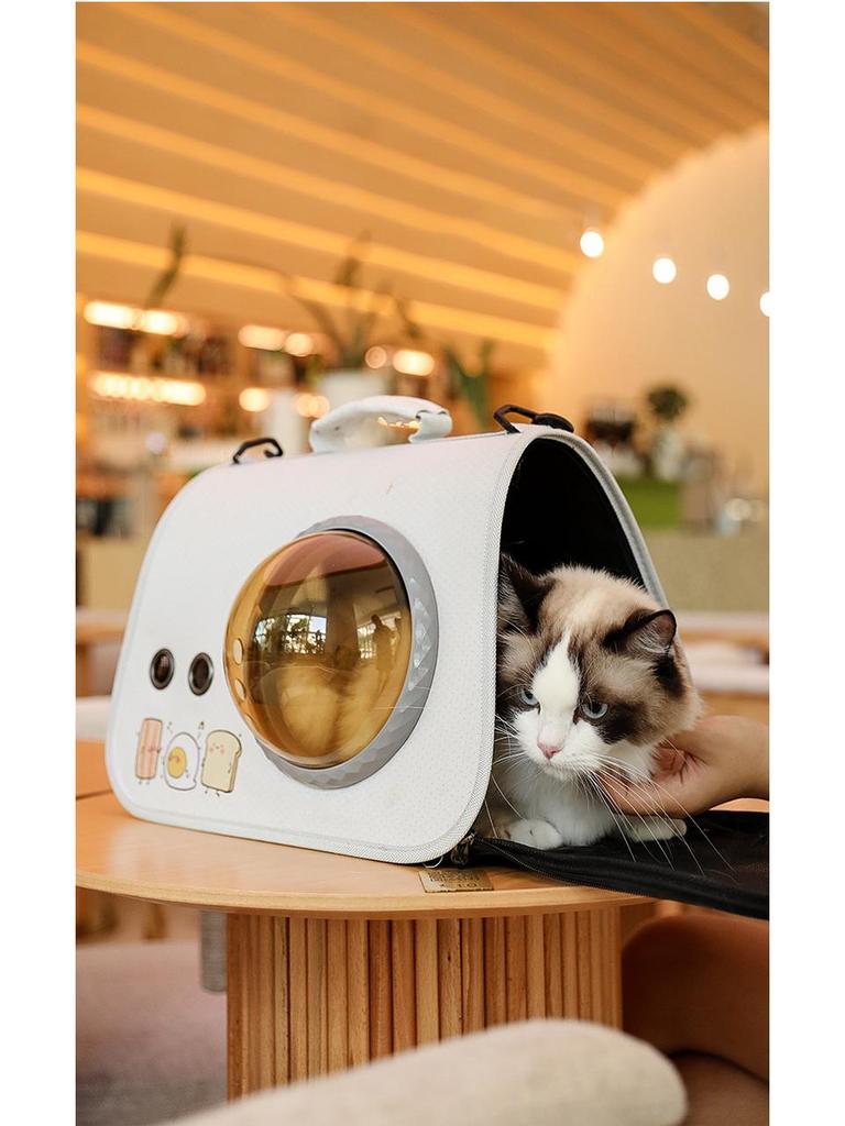 Transparent Crossbody Cat Carrier Handbag