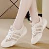2025 New Female Shoes All Match Mesh Casual Shoes Soft Bottom Shoes Spring and Autumn Breathable Sneaker Female Shoes
