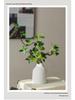 Bionic Begonia: Artificial Luxury Green Plant Dining Table Decoration