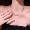 Titanium Steel Non-Fading Flat Snake Chain Necklace - Simple, Versatile, High-End Clavicle Jewelry for Women
