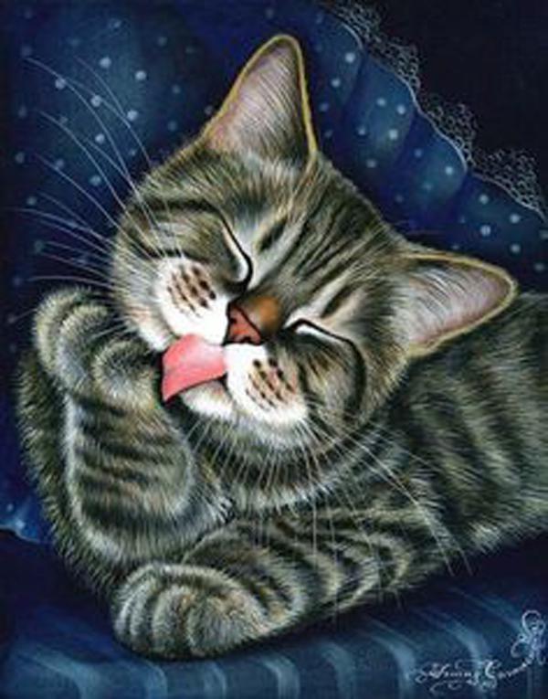 

Алмазная картина животное 5D Алмазная картина Вышивка Набор Алмазная картина Полная дрель Круглая 15*20cm