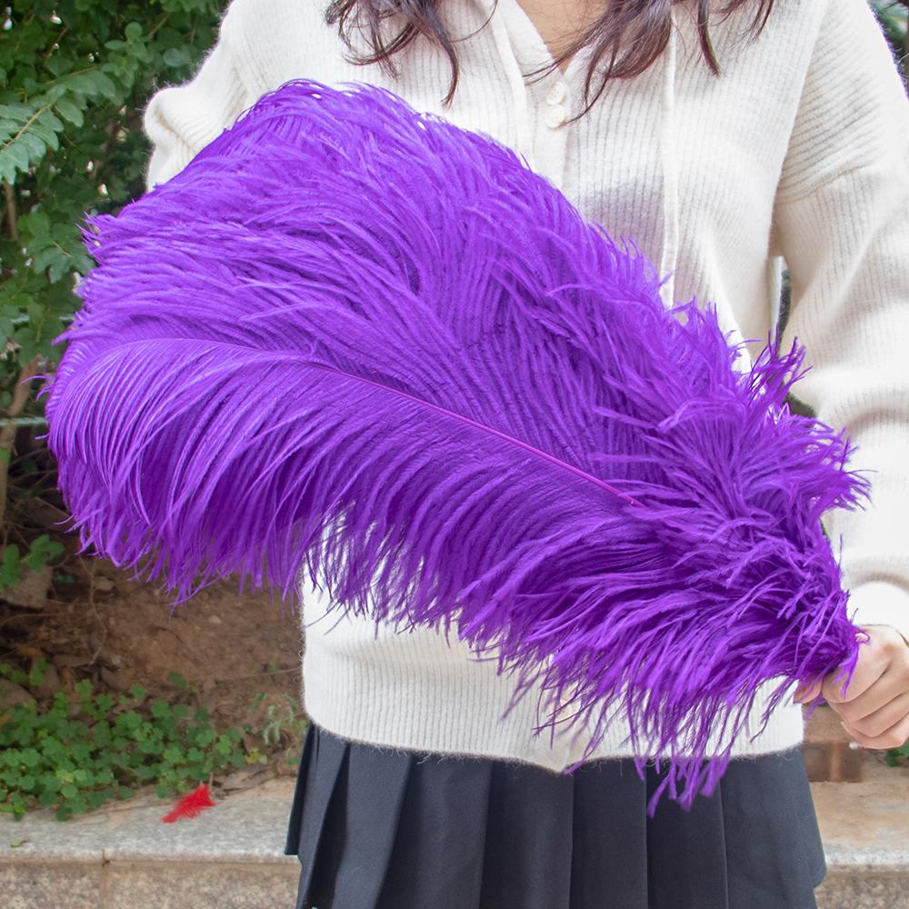 10PCS Big Ostrich Feathers 15-60cm for DIY Craft Wedding Table Center Decor Ostrich Plumas Carnival Party Stage Accessories Bulk