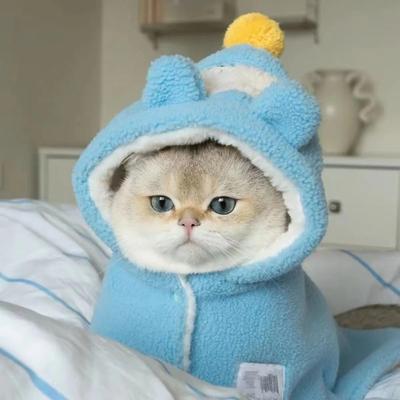 Pet Dog Dog Cat Plush Blanket Cape/Cute Bear Blanket/Warm Sleeping Mat
