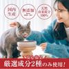PetSafe Natural Ingredients Dog and Cat Oral Cleaner Powder 100g Cyclodextrin