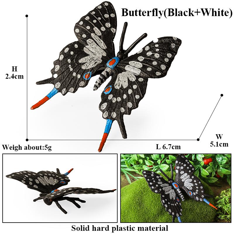 Oenux Insect Animals Model Monarch Actias Ningpoana Swallowtail Butterfly Growth Cycle Garden Figurine Education Kid Toy Gift