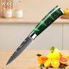 WXCOO Damascus Fruit Knife Household Blade Small Kitchen Accessories with Resin Handle Paring Vegetable Slicing Knife