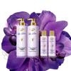 Lux Enchanting Orchid Fragrance Shampoo & Conditioner Set