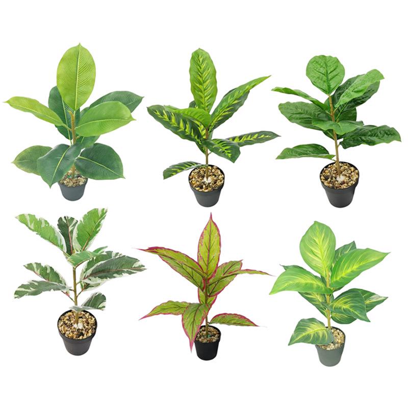 Desktop Rubber Tree & Aspidistra Potted Plant - Bionic Green Landscape Ornament