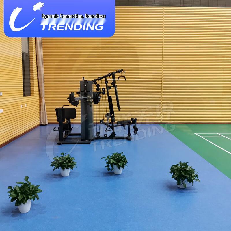 Professional Anti-slip PVC Gym Flooring
