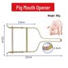 Kovový otvírač úst pro veterinární použití: Prase, Skot, Ovce
