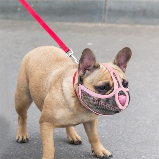 Dog Special Muzzle Buckle Design Wear-resistant Tear Resistant Professional Innovative Anti-bite Nylon Mesh Short