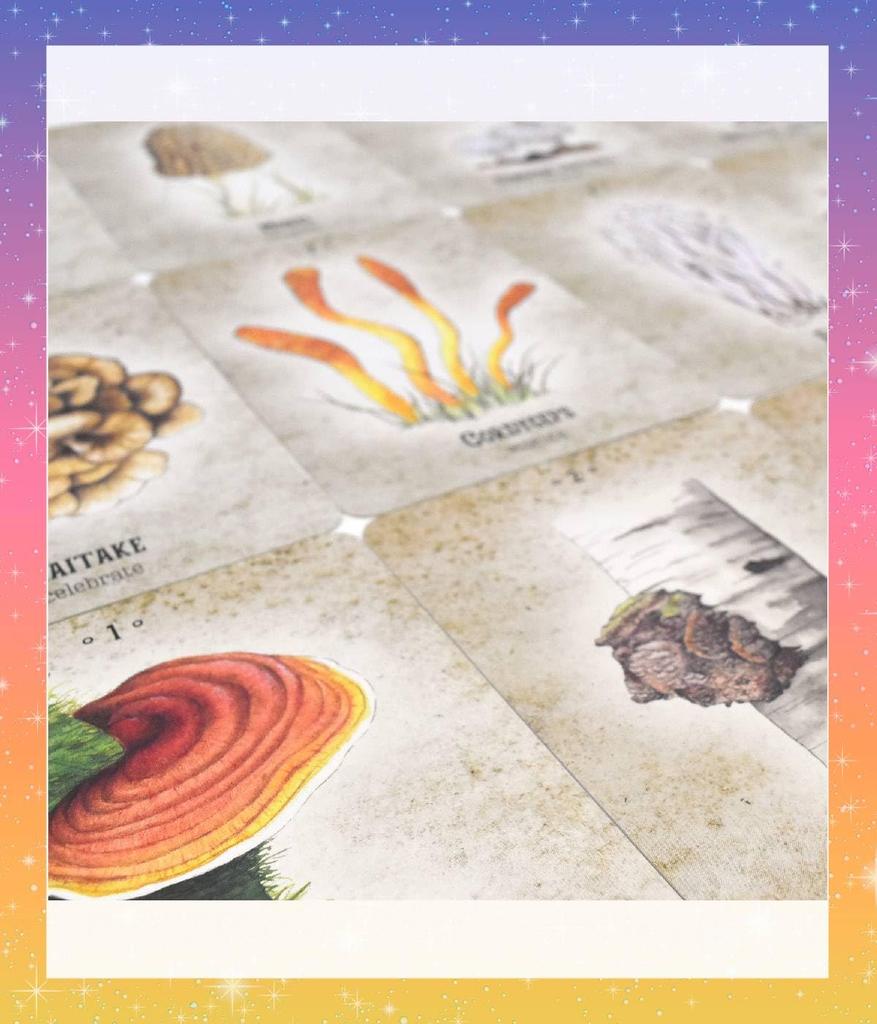 Mushroom Spirit Japanese Instruction Manual Oracle Tarot Fortune Telling Oracle, Included, Cards, Cards, [Authentic]
