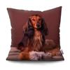 Luxury Home Decor Pillow Cover Cute Puppy Labrador Golden Retriever Office Sofa Car Cushion Cover