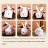 Small Rabbit Ear Pastry & Candy Gift Bags