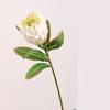 Stile Europeo Simulazione Fiori Imperiali Ramo Festa Decorativa Seta Artificiale Bianco Fiore Reale Decorazione Stanza
