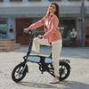 Electric Bike Foldable DYU C2 16" 250W Motor 48V 7.5AH Max Range 40Km Top Speed 25Km/h Load 120KG Black