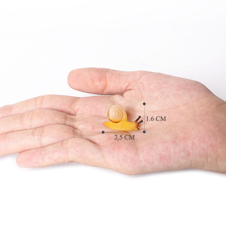 Realistic Life Cycle Of A Snail Model Figure Snail Figurine Party Favors Supplies Cake Toppers Desktop Decoration Collection Toy