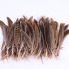 Kobashishan Cocktail Feathers Wild Feather Nature Decorative Feather Jewelry Accessories Crafts