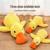 Boredom-Relief Plush Dog Toy: Sound-Making, Teething-Resistant, for Puppies & Large Dogs