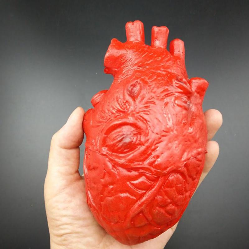 Halloweenské hororové rekvizity Život jako děsivá paže Ruka useknutá Krvavý horor Falešná ruka Prst noha noha noha mozek srdce party potřeby