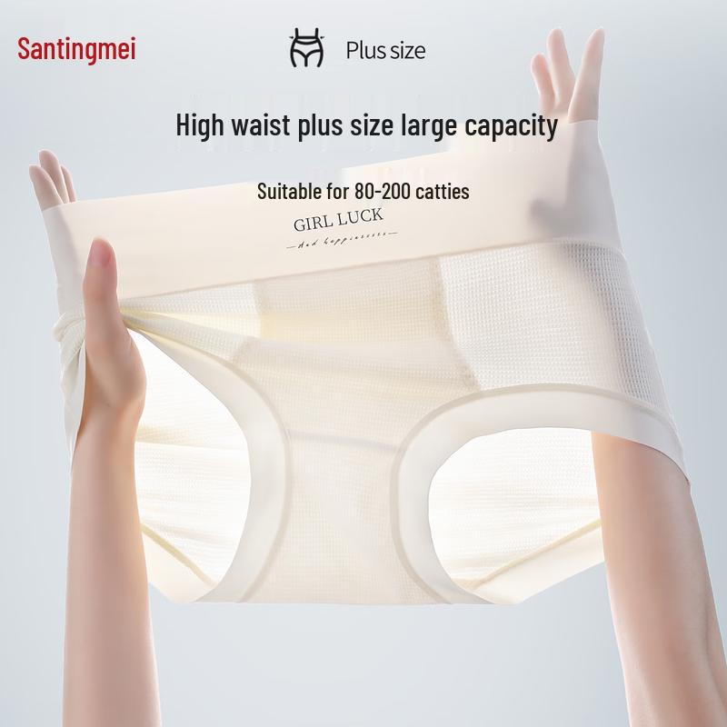 Tingmei Women's Plus Size High-Waist Seamless Briefs Multi-pack