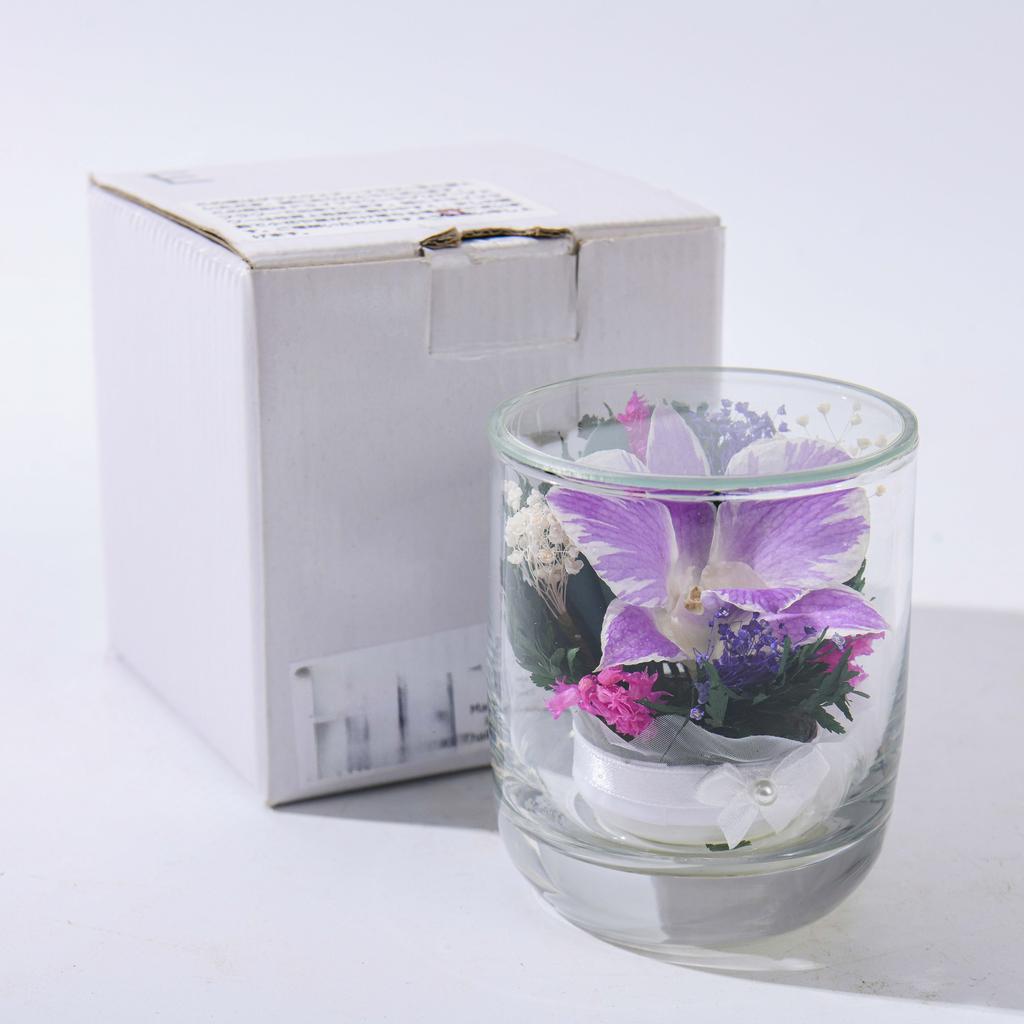 HFlora New Arrival Small Size Preserved Orchid in Glass Cloche-Valentine's Day & Graduation Home Decor Gift