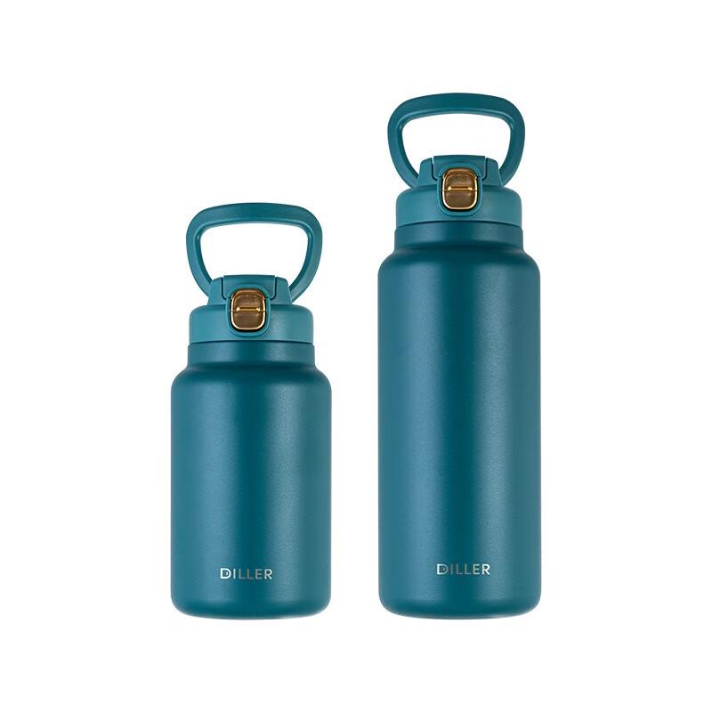 Diller Stainless Steel Insulated Travel Tumbler