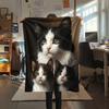 Calico Cat,pattern Flannel Blanket, High quality Comfortable for All Seasons, Home Decor, Warmth and Comfort, Perfect for Gifts.