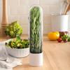 Vegetable Preservation Box Plastic Cylindrical Anti Pressure Environmentally Friendly Cup For Organizadores Storage Containers