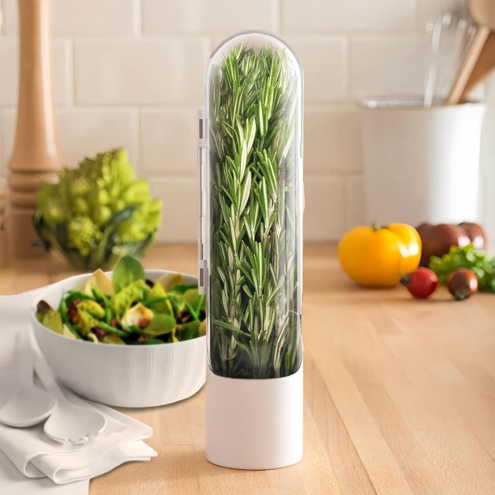 Vegetable Preservation Box Plastic Cylindrical Anti Pressure Environmentally Friendly Cup For Organizadores Storage Containers
