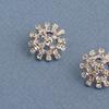 Crystal Sun Earrings