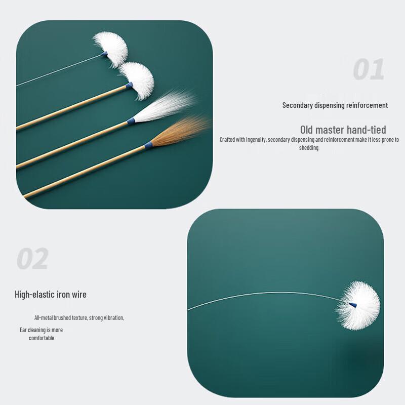 Professional Ear Cleaning & Care Tools