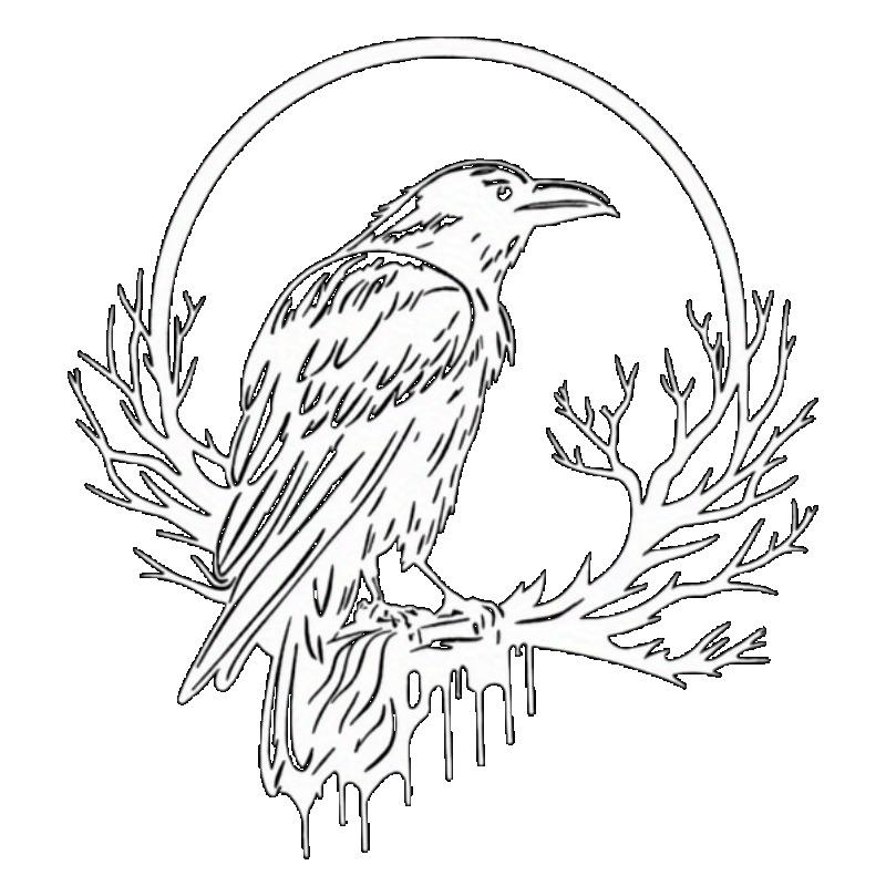 Black T Shirt with White Raven on Branch and Circle Design for Casual Wear