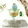 Transparent Magnetic Bird Feeder Anti-Tip Pet Feeder Ledge Parrot Water Bowl  Drinking