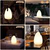 Portable Rechargeable Night Light: Cross-Border E-commerce Camping & Bedroom Table Lamp