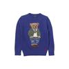 Polo Sweater Bear Pattern Printed Crew Neck Long Sleeve Kids Sweaters Blue 323932479-001