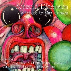 

CD VARIOUS - Schizoid Dimension CLP01232 Purple Pyramid 1997 US Classical Used