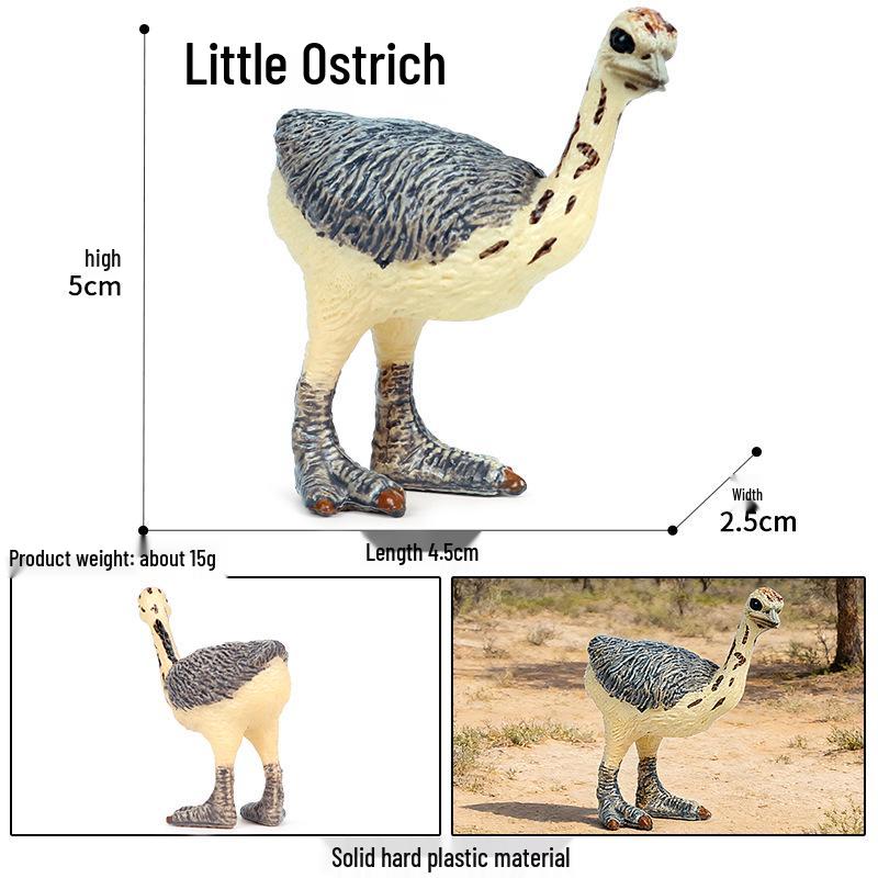 Realistic Bird Figurines Set: Eagle, Parrot, Peacock, Flamingo, and Owl