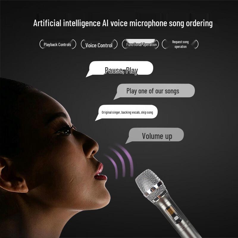 MVCORWNS AV-1040 10-inch KTV & Home Theater Audio System CN Plug (adapter Included)