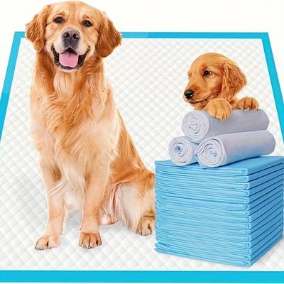 Köpek – Köpek bakım ürünleri