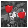Canvas Print, Red Tulips On a Grey Background
